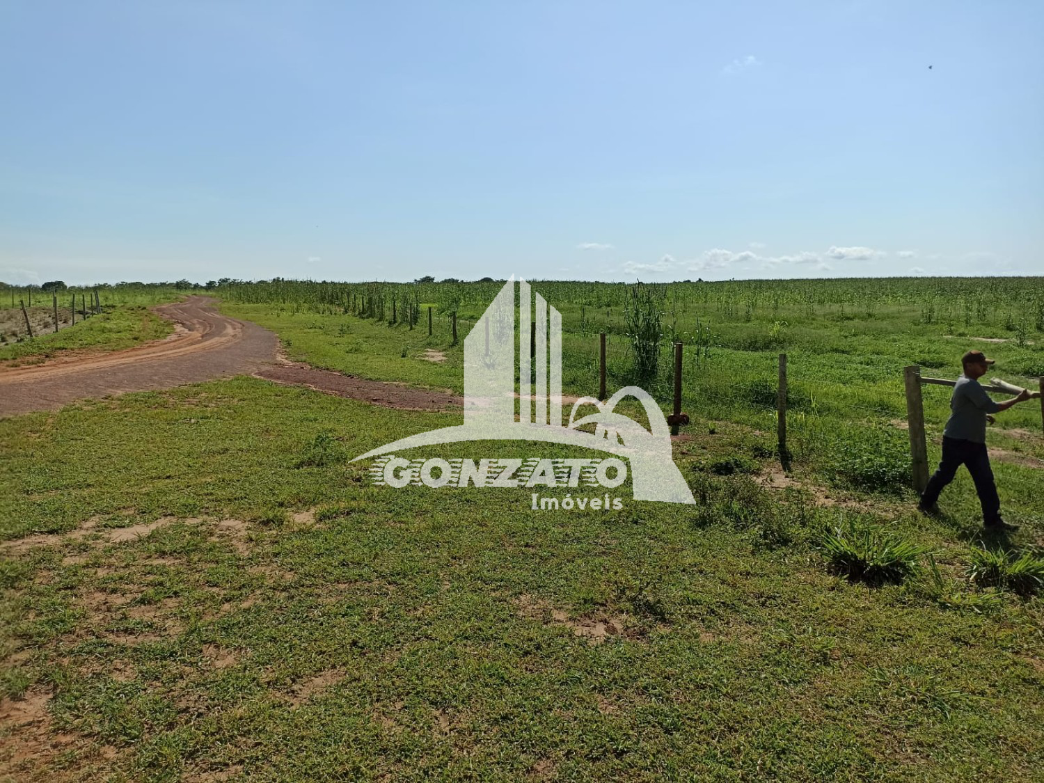 FAZENDA